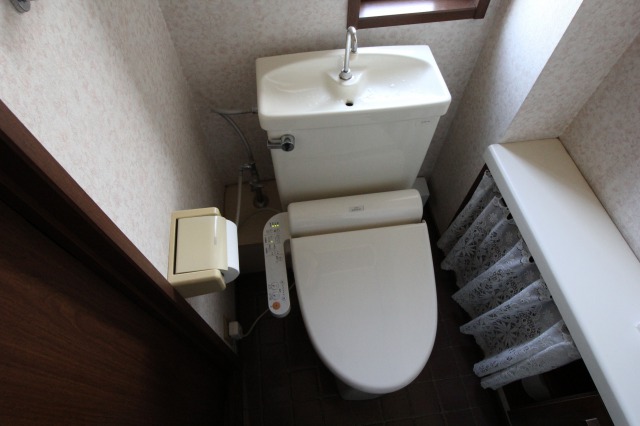 the characteristics of each type of toilet